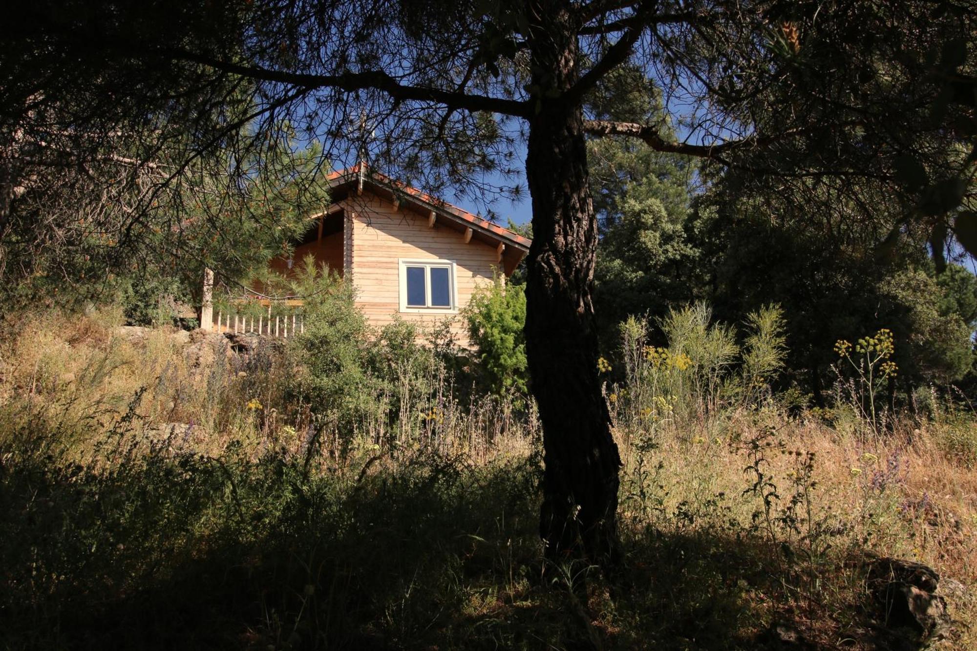 Bella Vista Villa Robledo de Chavela Eksteriør billede